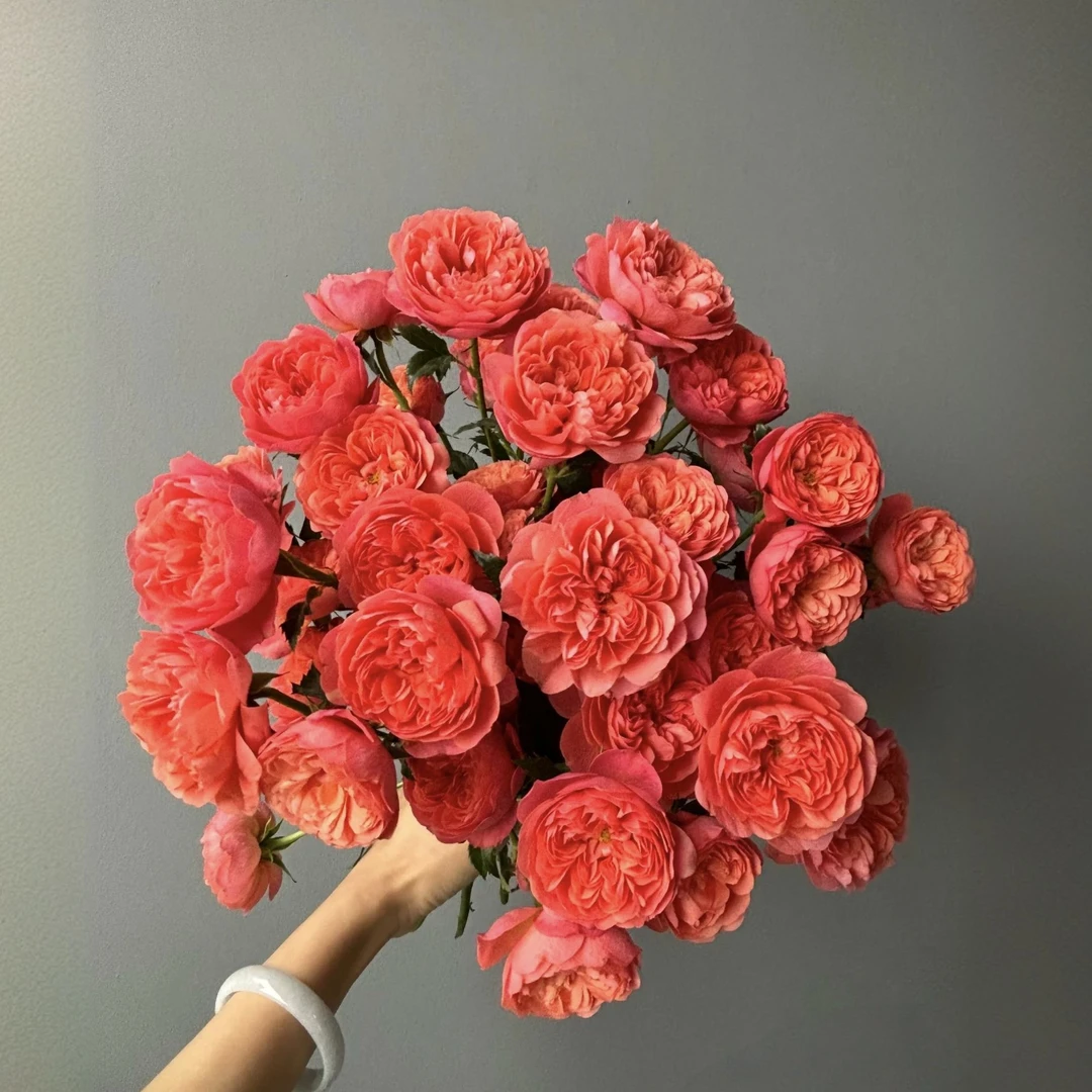 【秦小胖】桃色果汁多头玫瑰（注意：特殊花材，收到带包装醒花)