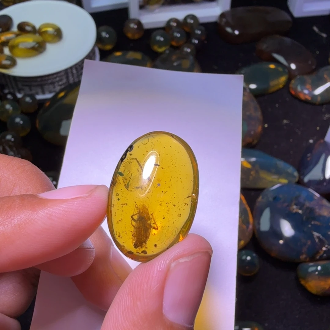 诗***诗裸石琥珀未镶嵌，，