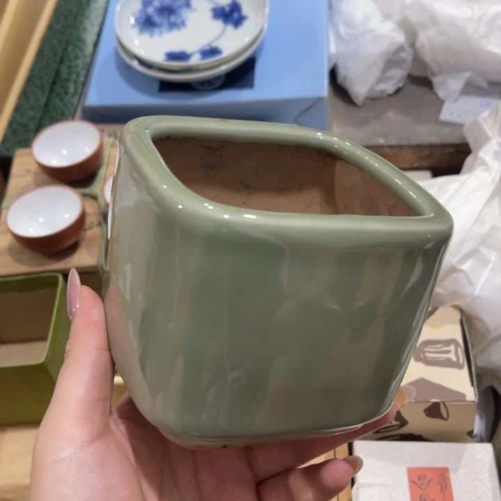 摆件楚*哈哈哈哈哈哈哈哈哈哈哈