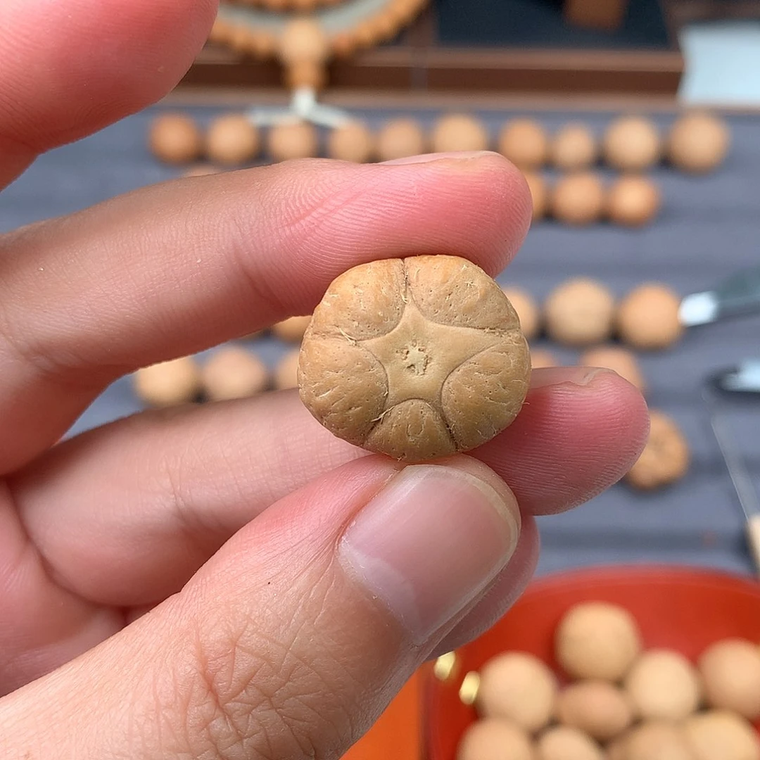 手串凤眼菩提21+五星，非质量问题开孔不退