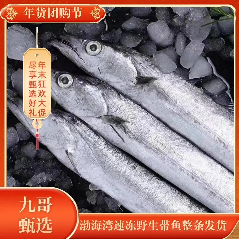 【中号】渤海湾速冻野生本地带鱼整条发货小眼睛味道鲜美拍5斤送1斤