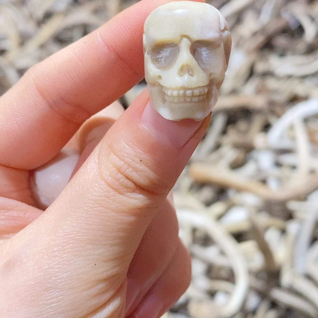 非金属鹿角鹿角鹿