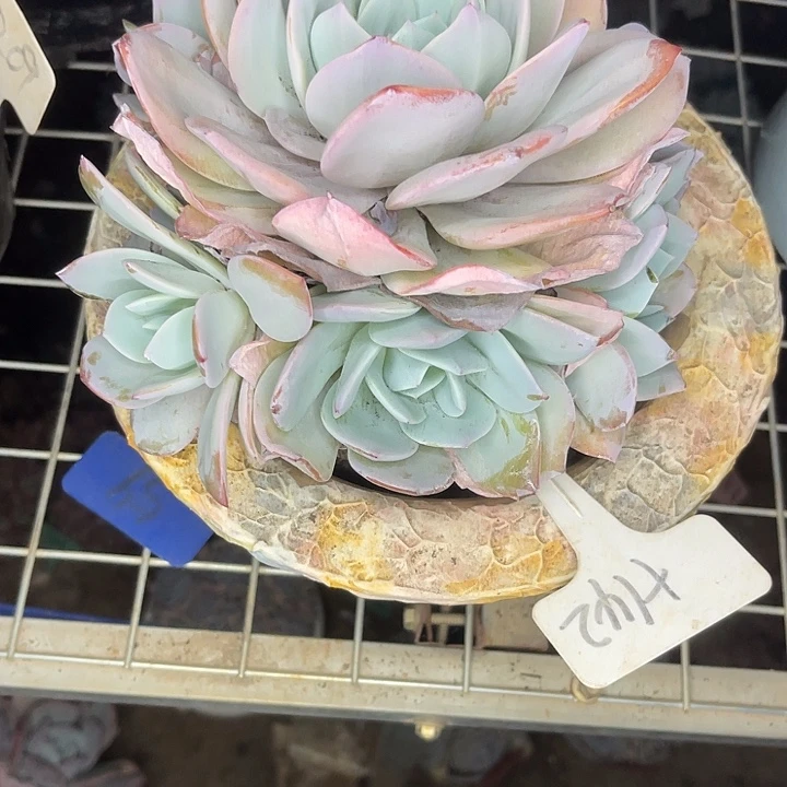 快****两单包邮，一物一拍，