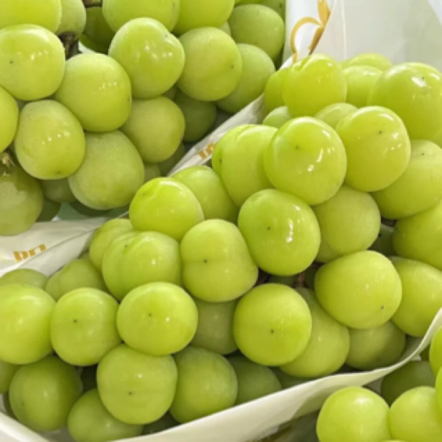 阳光玫瑰青提（一斤）