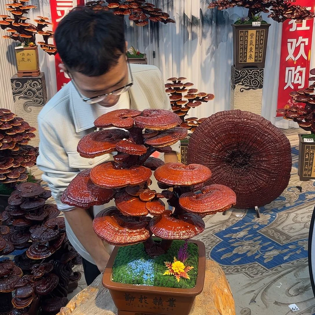 无花朵888888888888