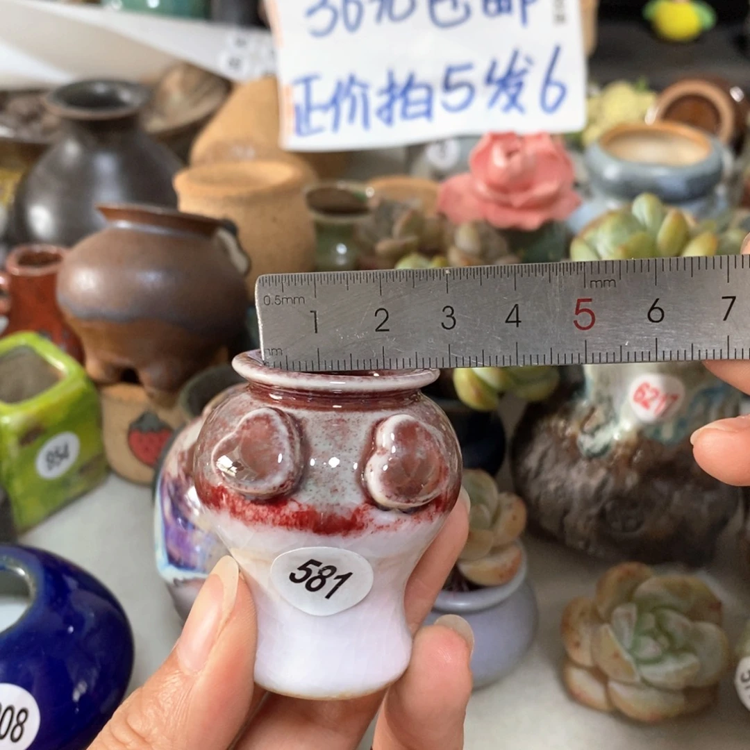 拍5送一个小礼物