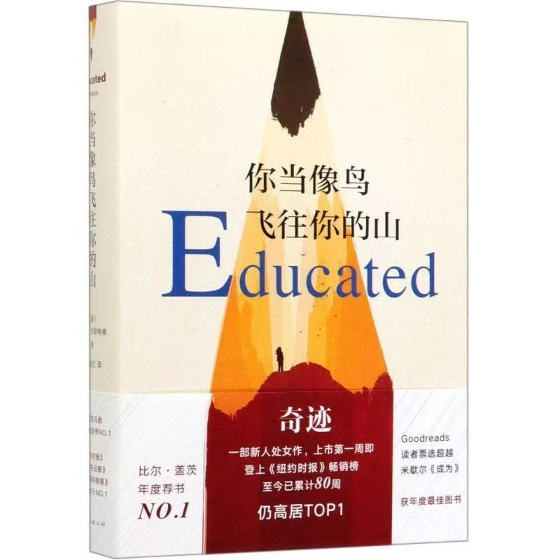 你当像鸟飞往你的山现当代文学女性暖心励志长篇小说