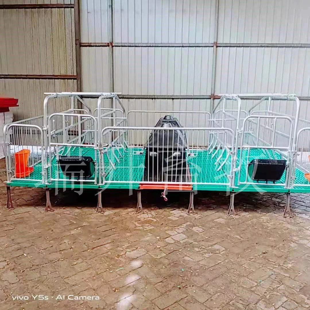 双体母猪产床加厚材质产保一体承重力强
