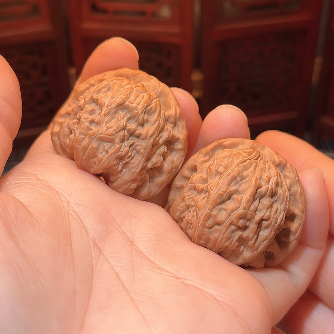 ?*38小白狮子……福利