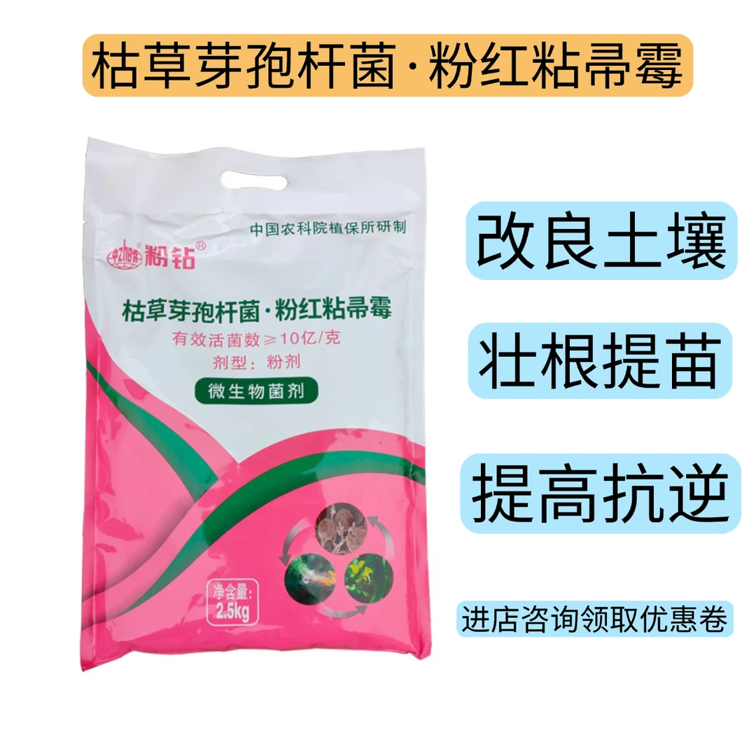 中保粉钻枯草芽孢杆菌粉红粘帚微生物菌剂菌肥花卉种植通用