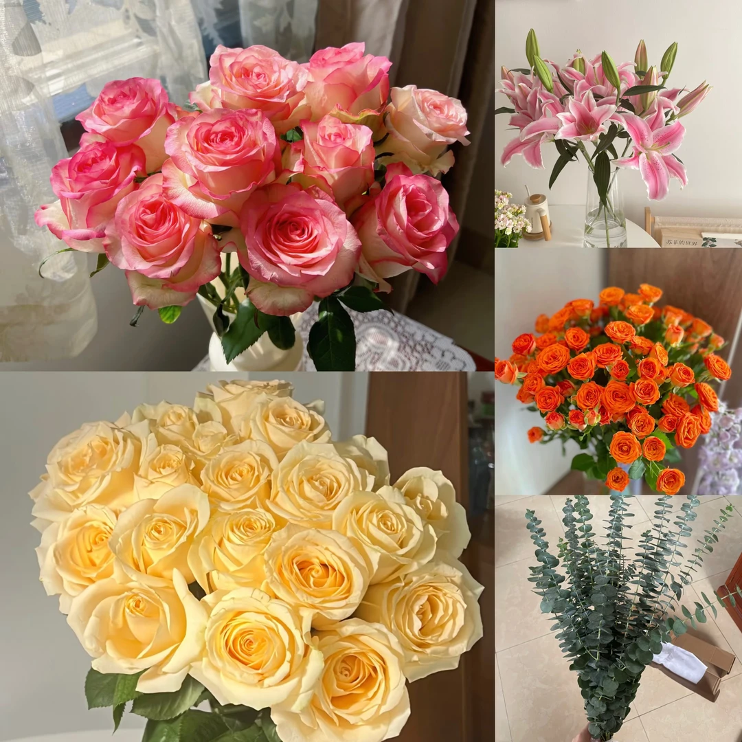 玫瑰组合 云南基地直发 0度以下拍保温棉
