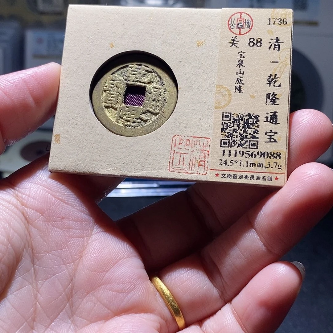 贝壳19 恭喜发财恭喜发财