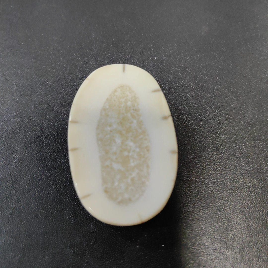 猛犸猛犸虬饼子  WT68