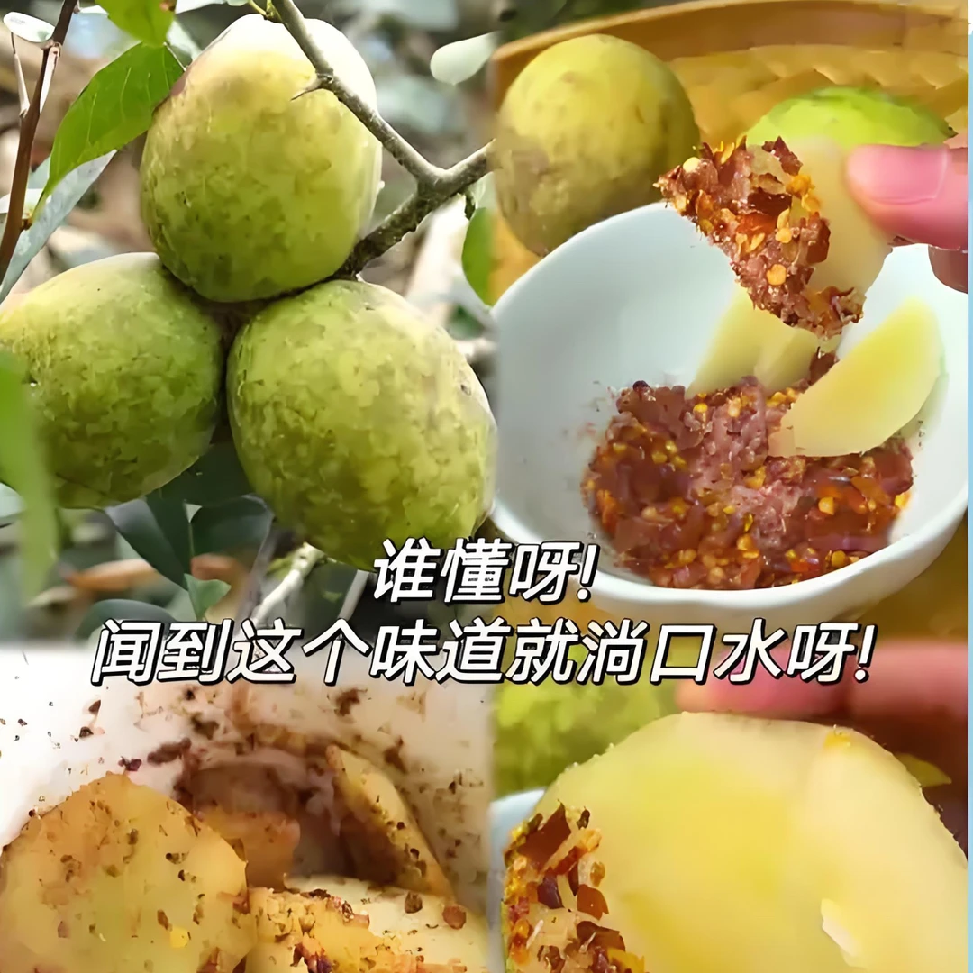 豪猪箐：云南腾冲老品种柴木瓜又嫩又酸爽