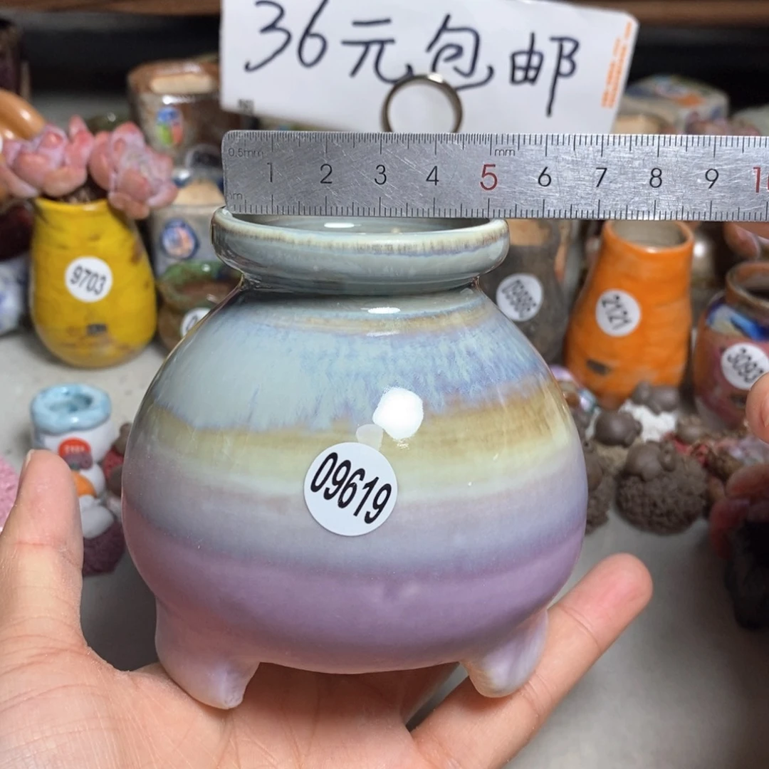 拍5送一个小礼物