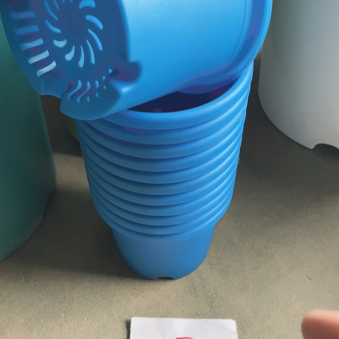 编号是7号的7号的