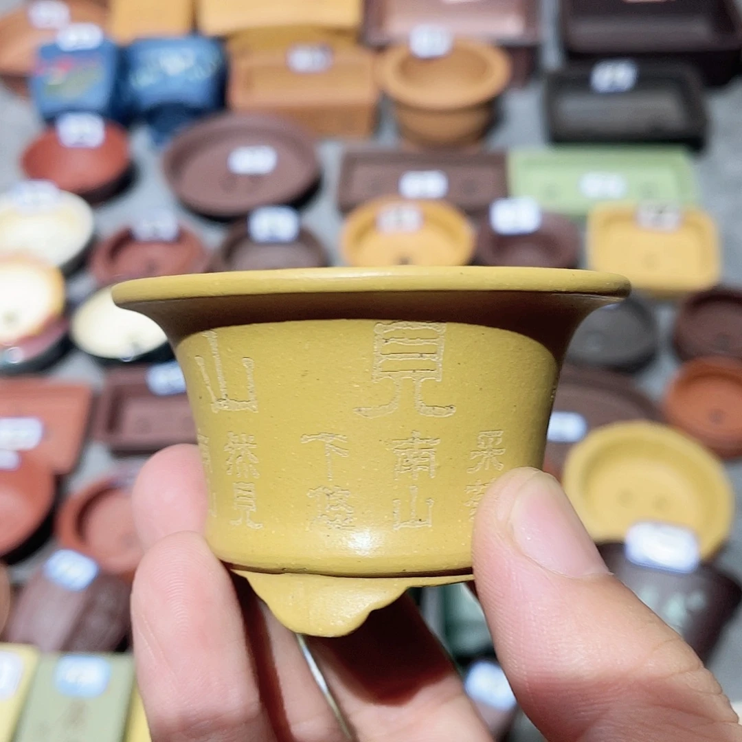 紫砂小盆6*3.5cmmmm