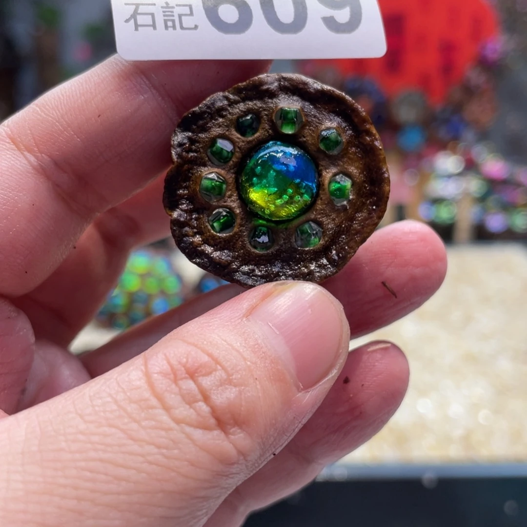 核桃木/黑胡桃（胡桃木）609