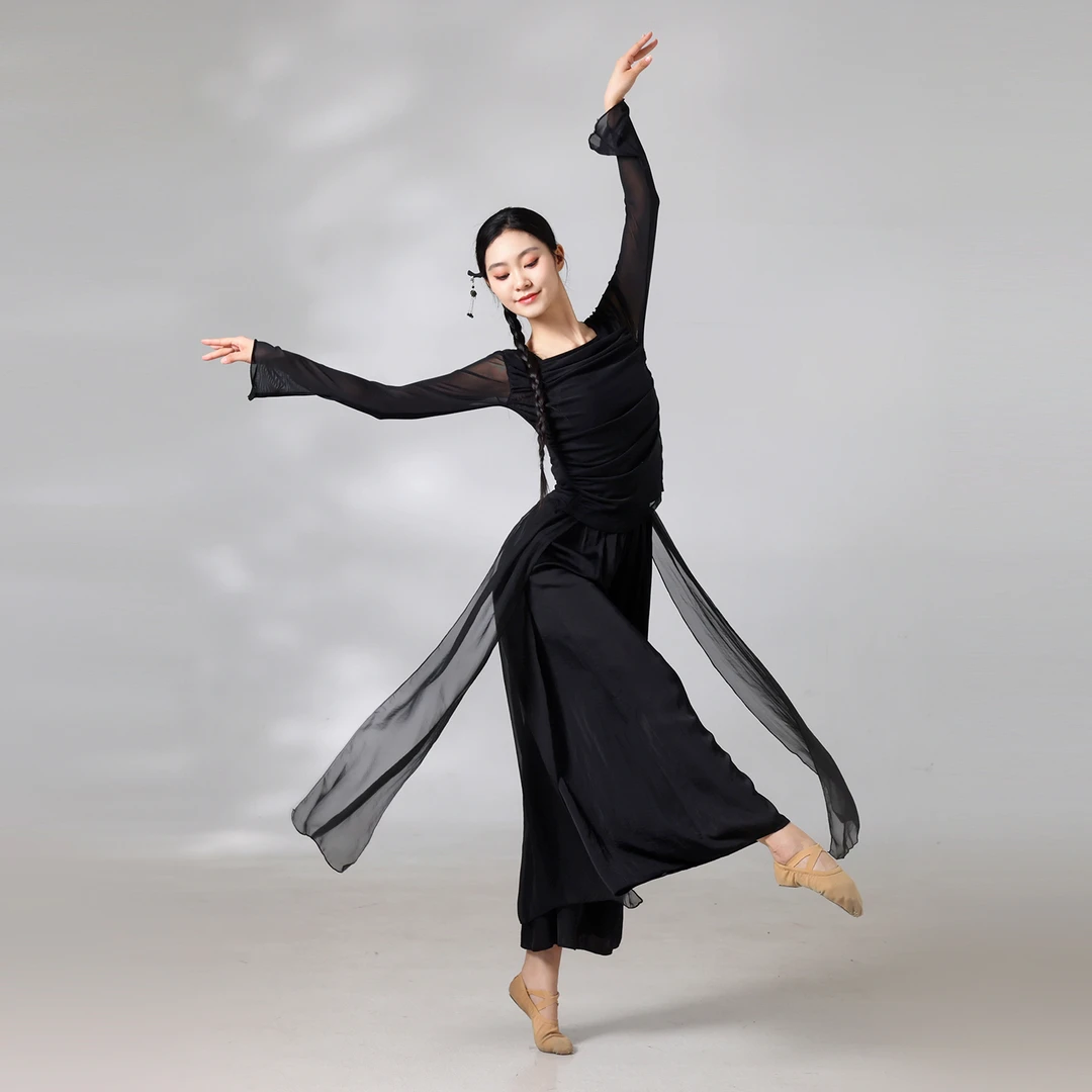 【李冠老师专属】古典舞梅花泪纱衣中国舞现代舞服装练功服女上衣