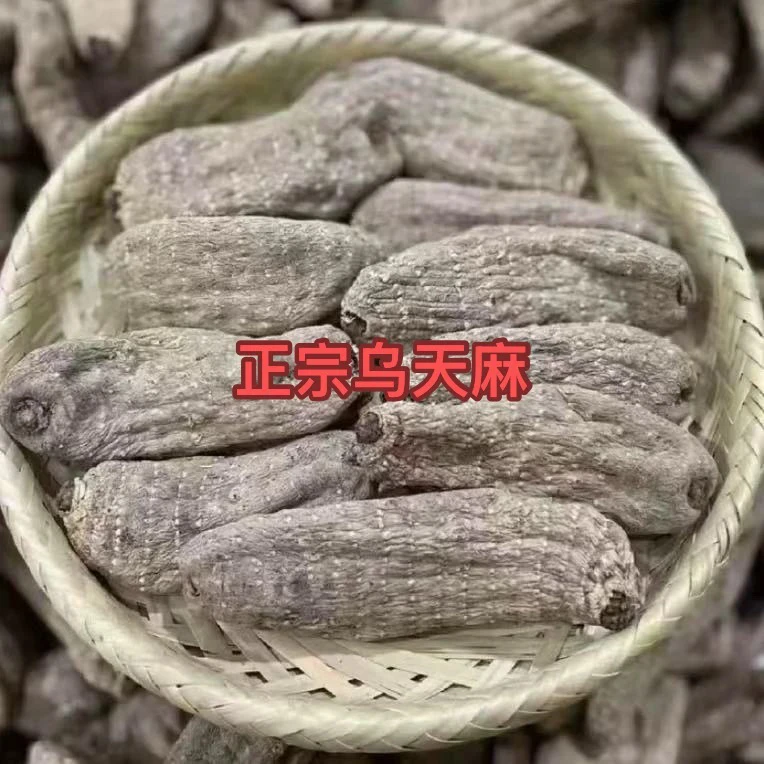 云南特产高山高原自然乌天麻可煲汤泡酒的滋补农产品