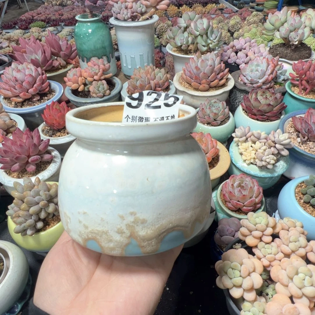 凑满50发货 内口8