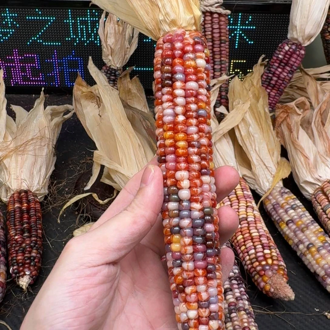 柏香籽/百香籽吊坠青*
