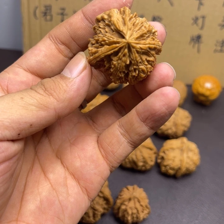 用***5菩提籽类三棱丁 留疤