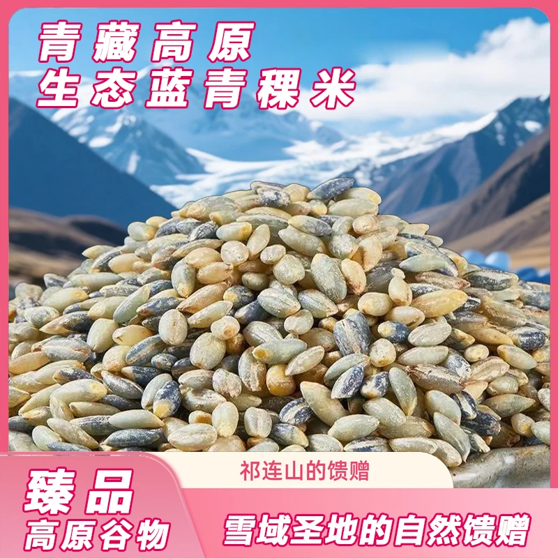 特惠正宗【蓝白青稞米】青藏高原产区优选五谷粗粮养生低脂煮粥焖饭