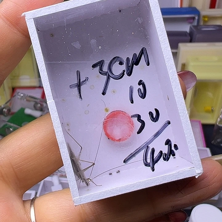 啊***喂哈哈哈哈哈哈哈哈哈哈哈哈哈