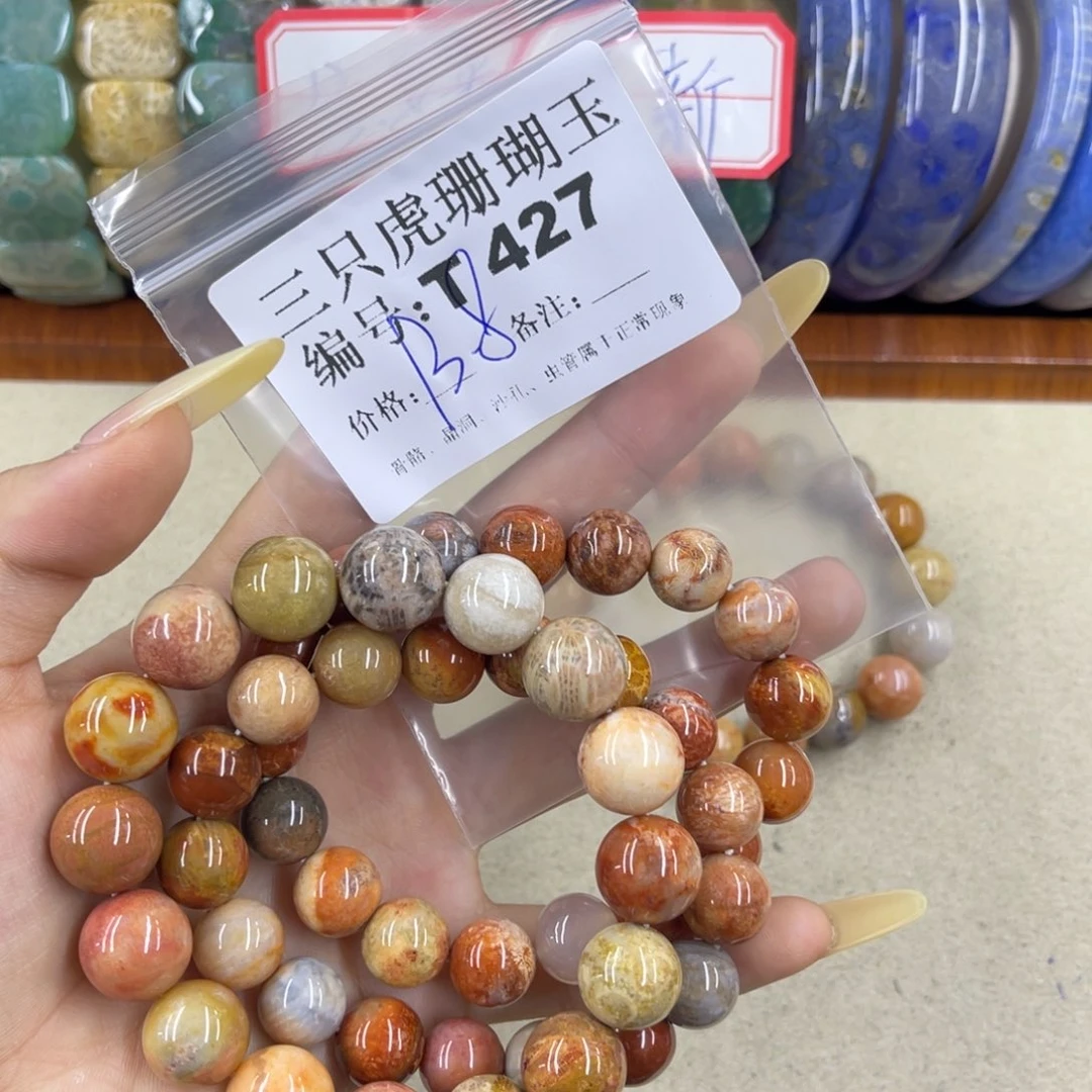 大***岩硅化珊瑚（珊瑚玉）h未镶嵌