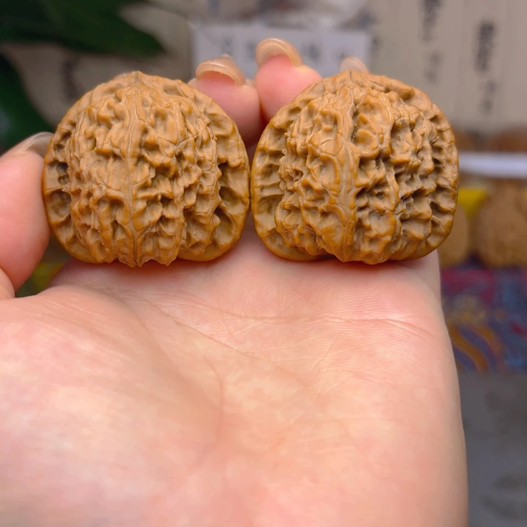白狮子头三十八尺