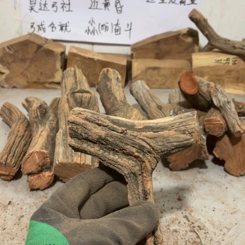 大果紫檀（缅甸花梨）木**弓