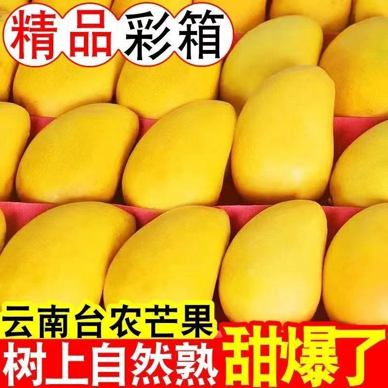 【自然成熟】云南小台农芒果热带新鲜应季孕妇水果薄皮肉厚一整箱XD