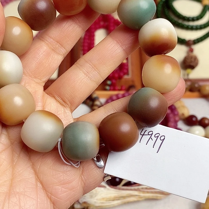 手串菩提根/象牙果