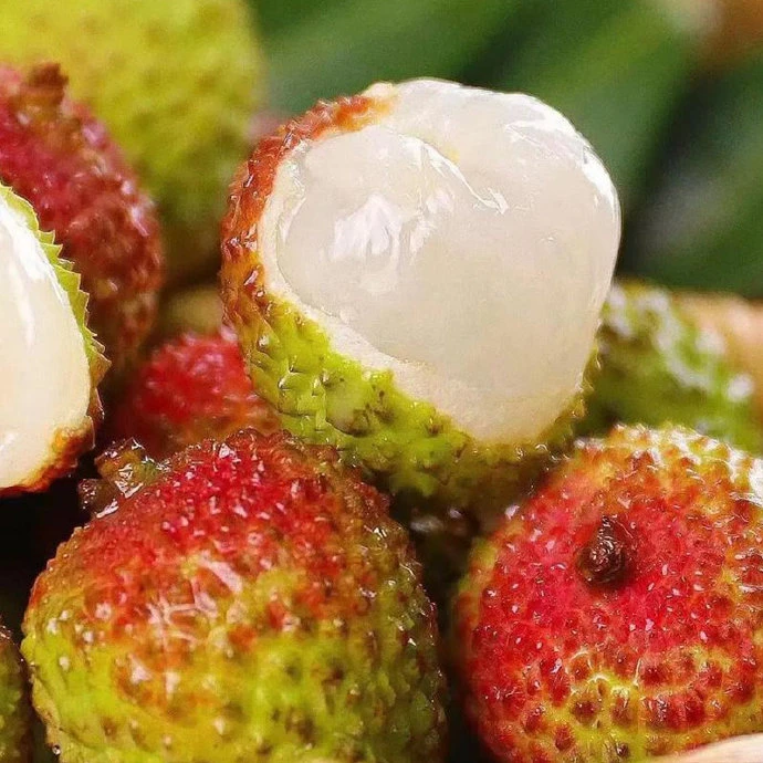 妃子笑荔枝原产地供货3斤顺丰冰袋保鲜送货上门荔枝同城送新鲜黑龙江省