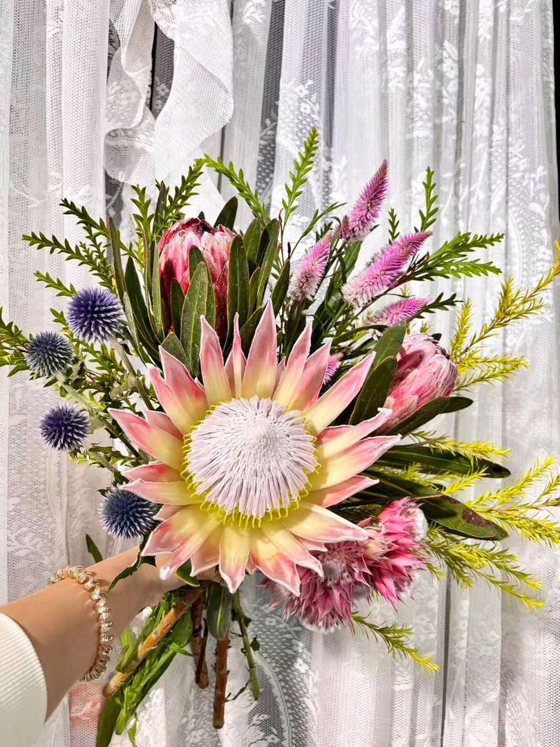 【怦然心动】南非进口帝王花公主花鲜花花束 可做干花 顺丰包邮