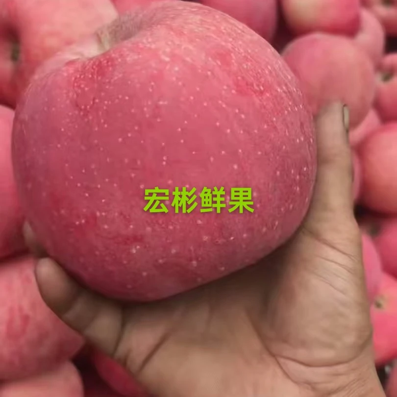 甘肃静宁红富士苹果，瑞洋苹果新鲜脆甜多汁产地直发自然果香