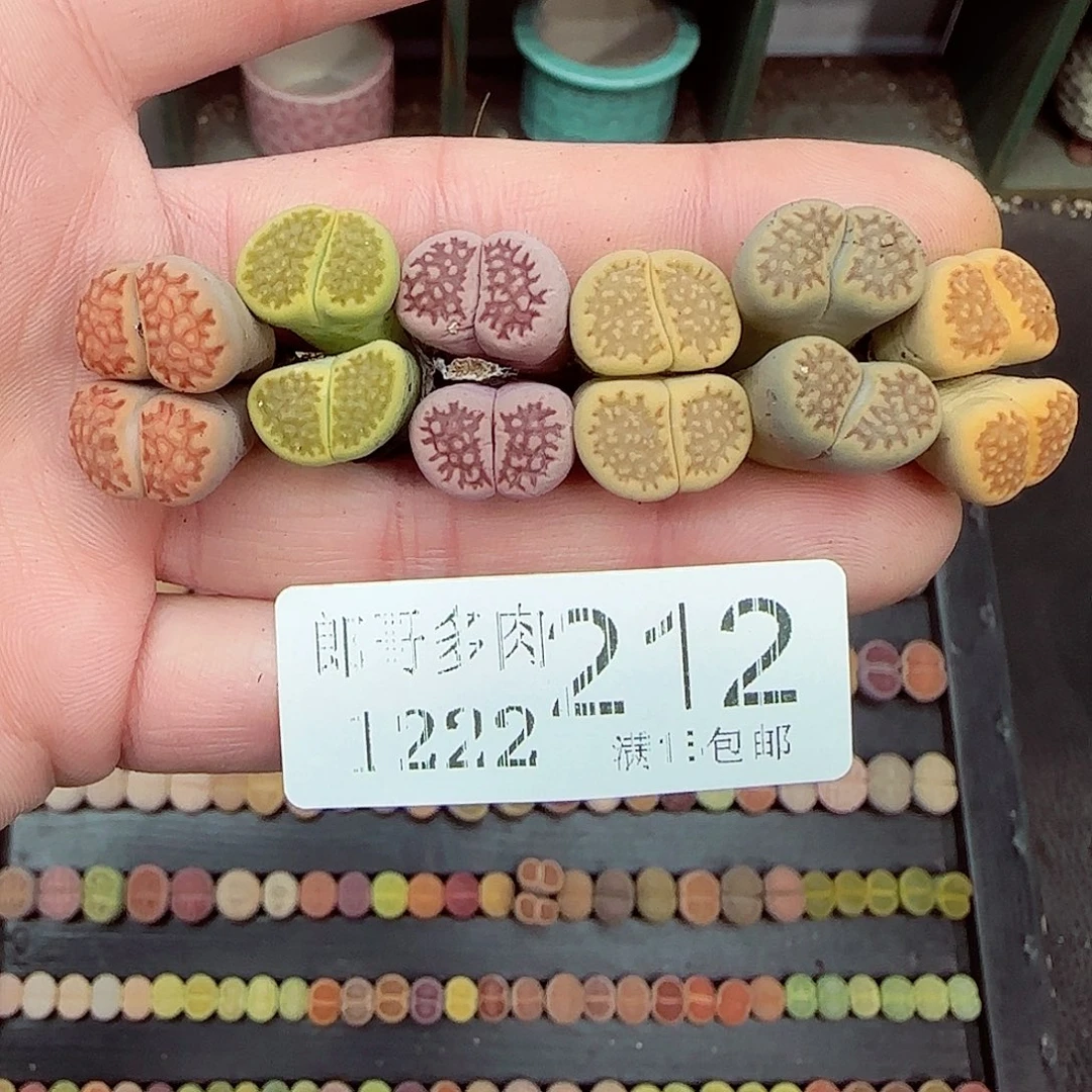 满满18包邮1222-212