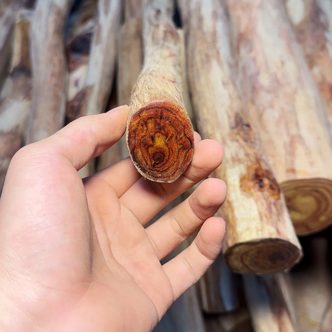 黄花梨/降香黄檀知**乐