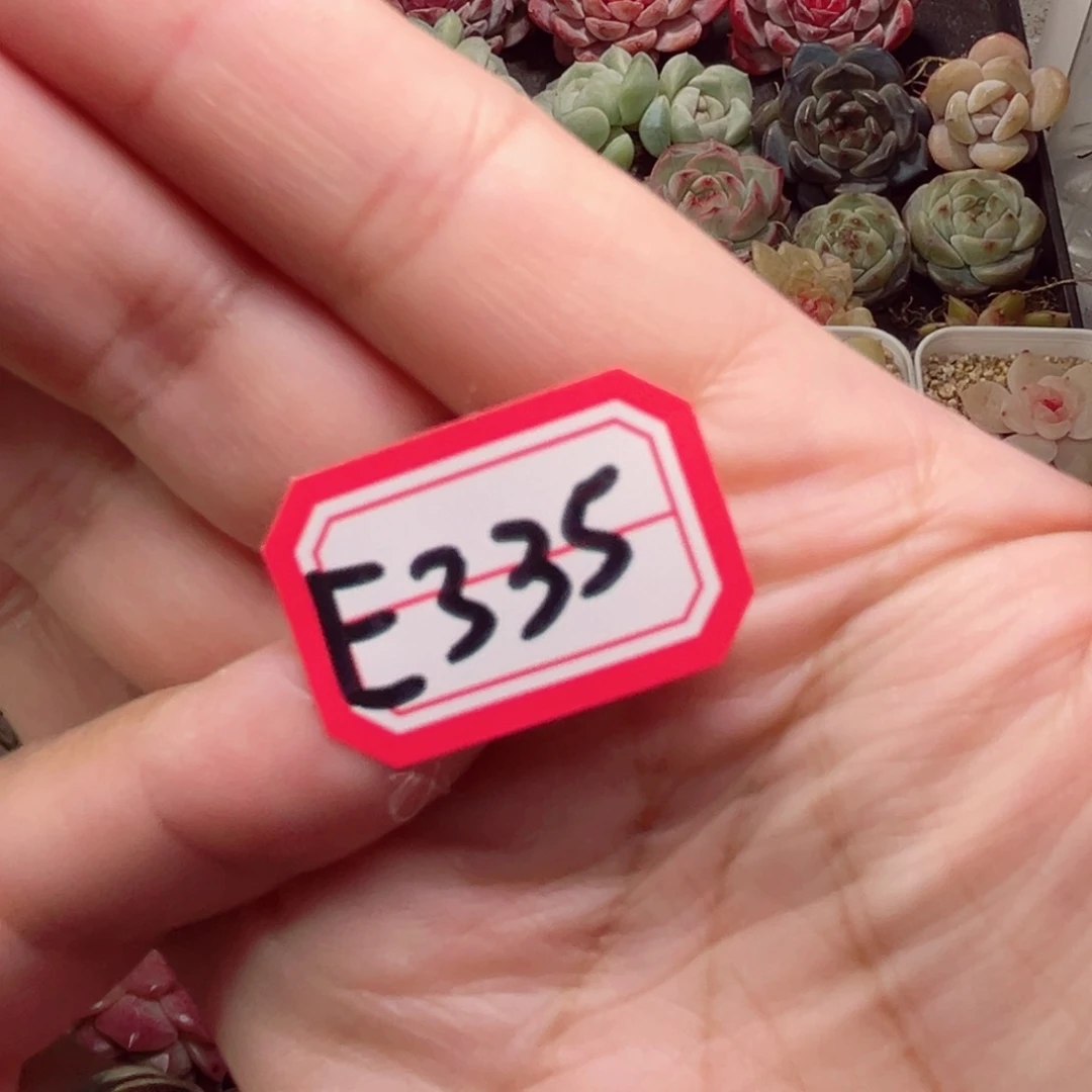 卖****酱E33一物一拍 补差