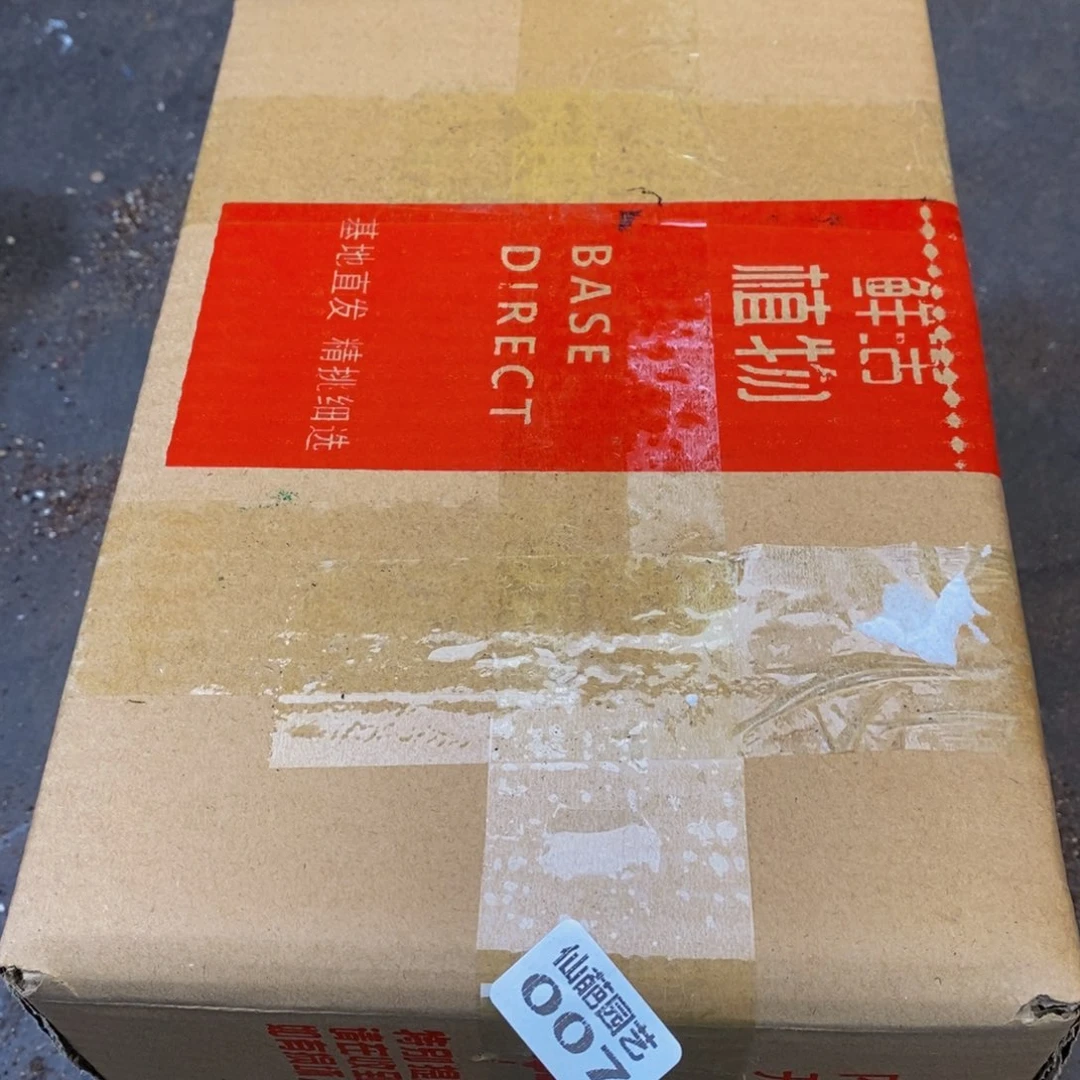 007的人和我一起看电影了