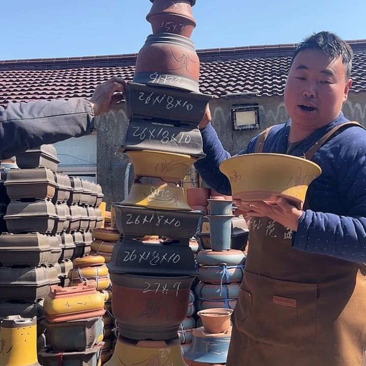 紫砂紫砂花盆盆栽