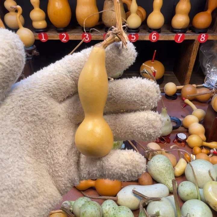 星***护葫芦葫芦葫芦葫芦