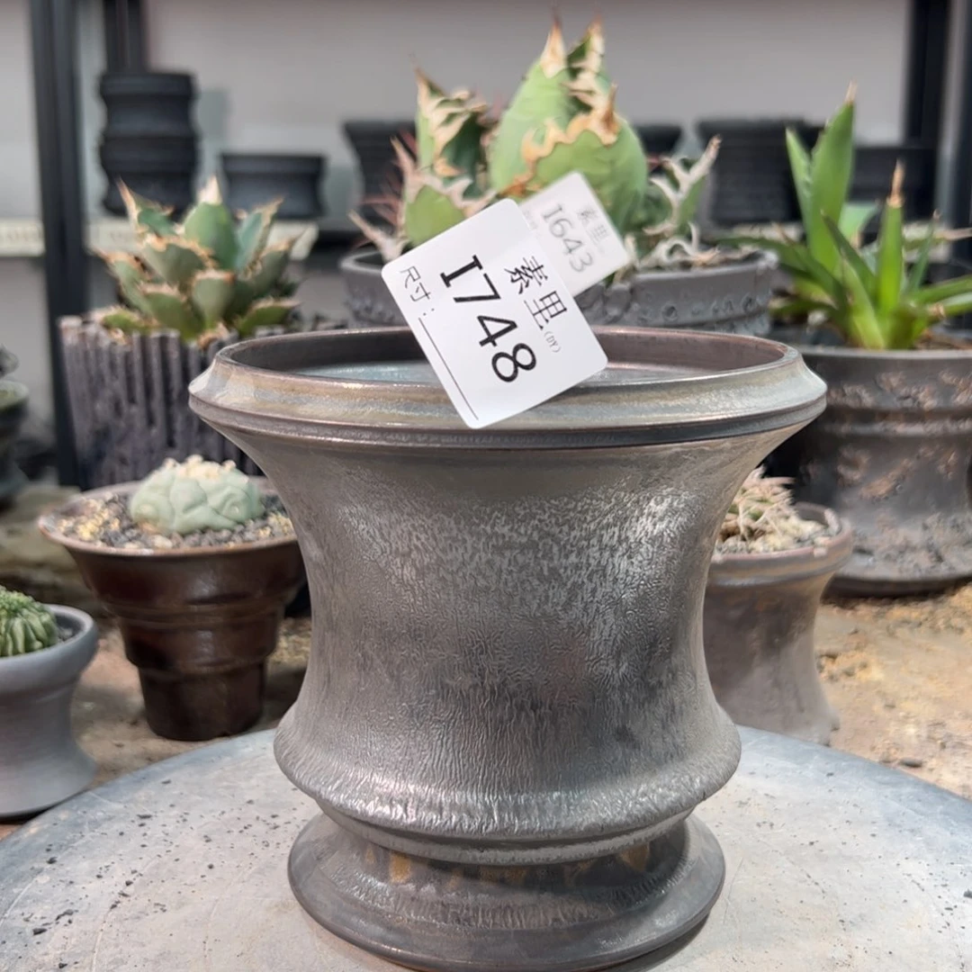 景德镇素里手工内口13高13.5