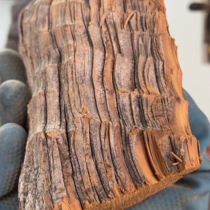 柏木（崖柏）太行崖柏陈化香料