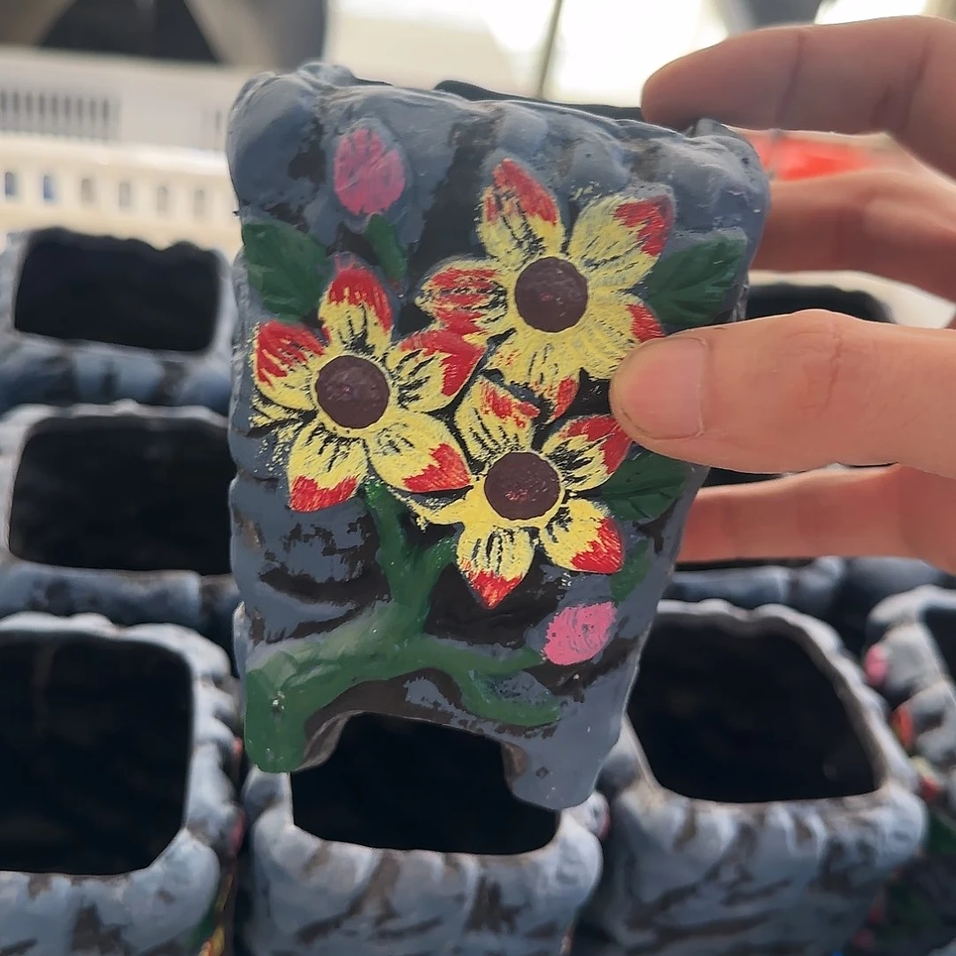 福利局绿植多肉盆［凑9元包邮24小时发］