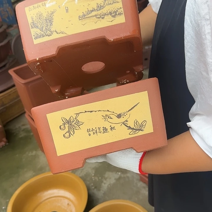 紫砂花盆这是我的