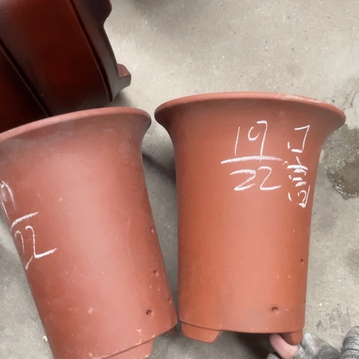 周深周深周深周深周深