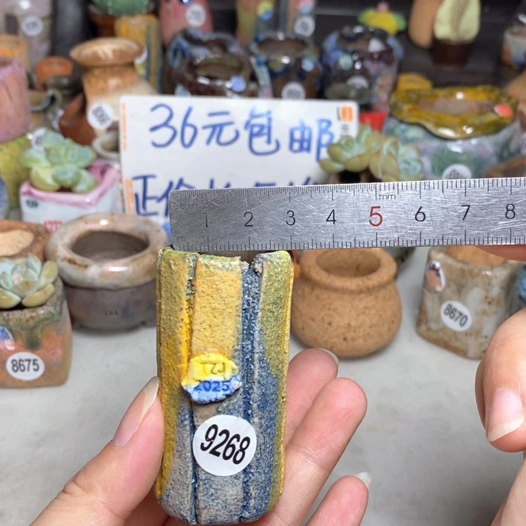 拍5送一个小礼物