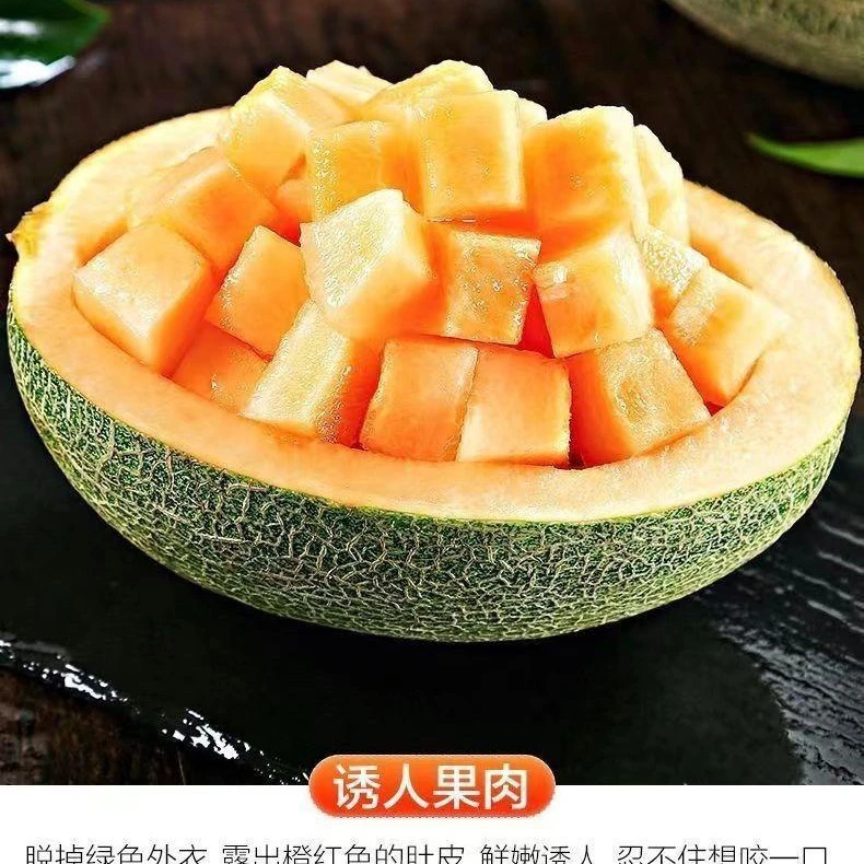 【甜蜜爆汁】正宗海南哈密瓜薄皮肉厚脆甜爽口多汁清甜水果晓蜜25号